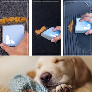 Pet Dog Cat Hair Cleaning Brush Foam Rubber Portable Hand Brush for Cleaning up Hair of Pet