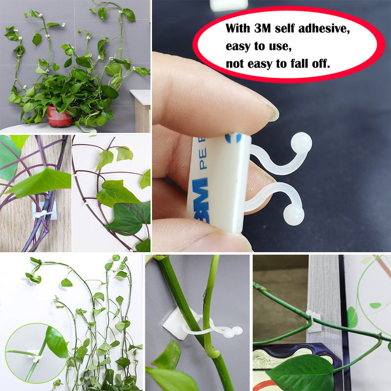 Plant climbing wall Self-Adhesive Fastener Tied fixture Vine Buckle Hook