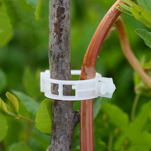 Plastic Plant Clips Supports Connects Reusable Protection Grafting Fixing Tool Gardening Supplies