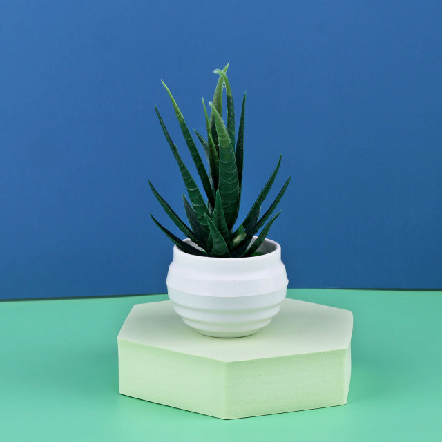 Mini Artificial Aloe Plants Bonsai Small Simulated Tree Pot Plants Home Garden Decor