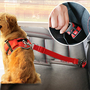 Vehicle Car Pet Dog Seat Belt