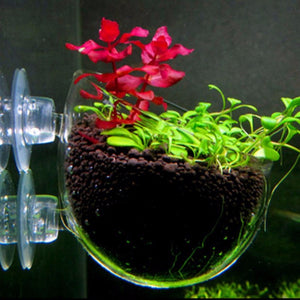 Nicrew Aquarium decoration fish tank Mini Crystal Glass Pot planting cylinder